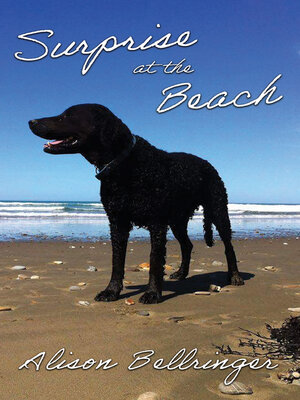 cover image of Surprise at the Beach